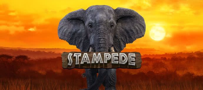 Stampede