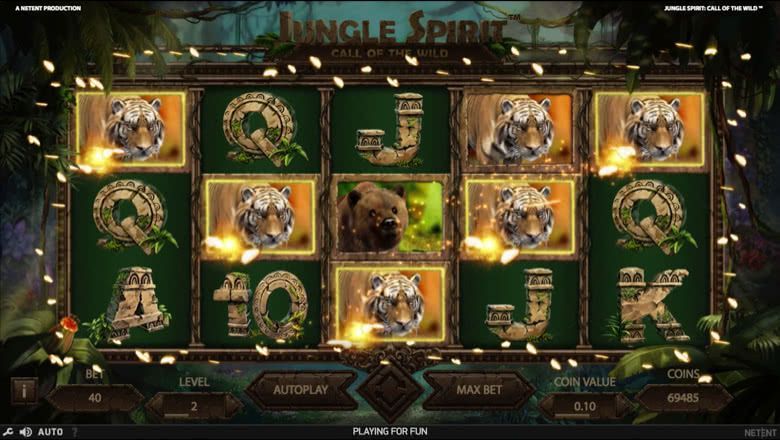 Jungle Spirit slot screenshot